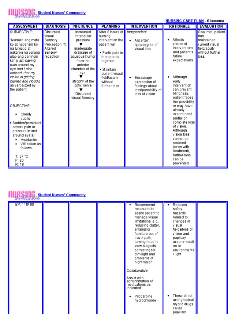 Nursing Care Plan PDF Visual Impairment Senses