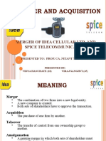 Merger and Acquisition Final