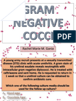 Gram Negative Cocci