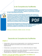 Desarrollo de competencias facilitantes para profesionales