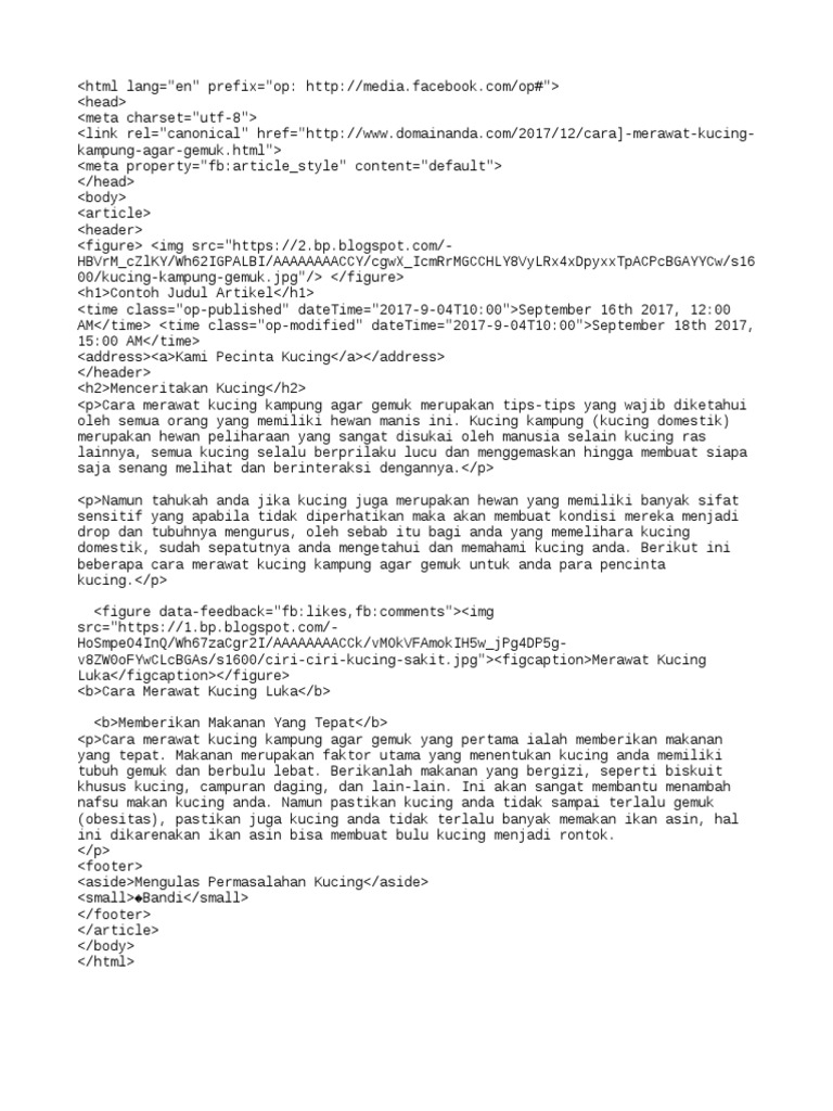 Template Instan Artikel Dari Blogspot  PDF