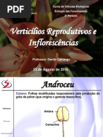 Fan05 - Inflorescência