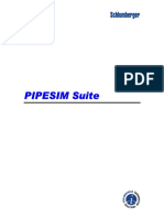 pipesim guias.pdf