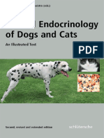 Clinical Endocrinology of Dogs Cats PDF