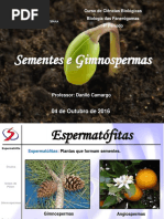 Fan07 - Gimnospermas.pdf