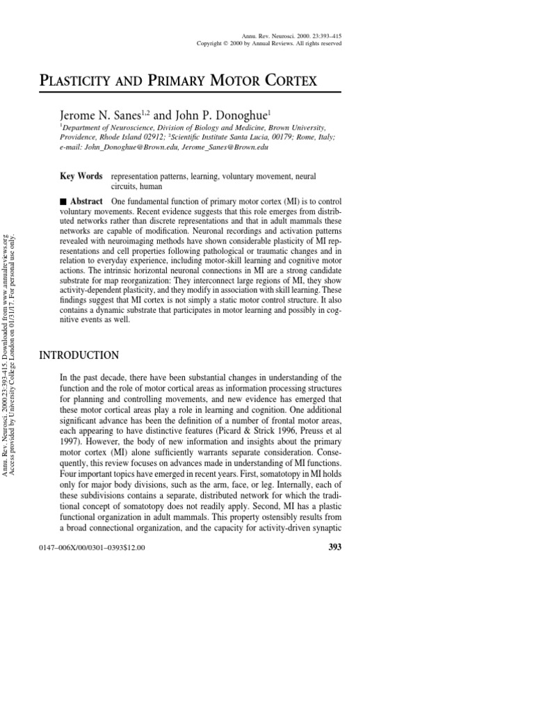 Plasticity and Primary Motor Cortex | PDF | Long Term Potentiation ...