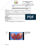 Dissecação do coração de um mamífero