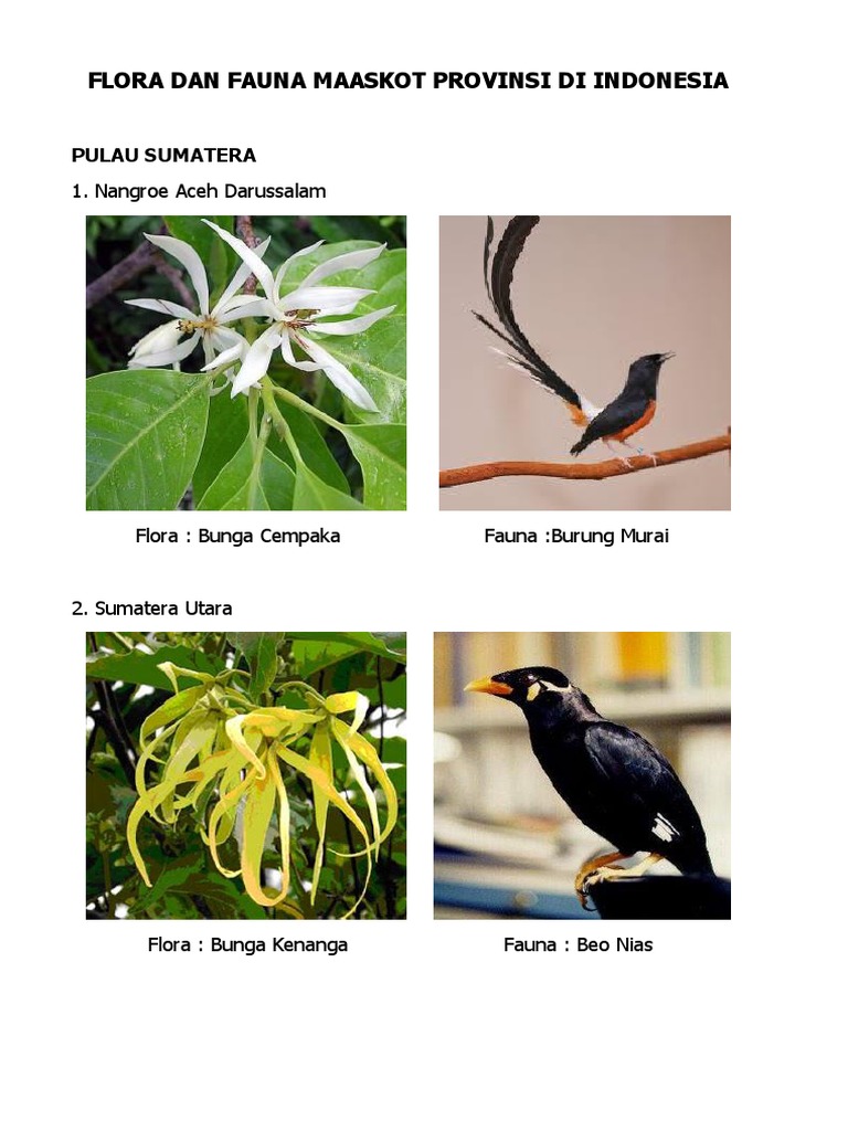 Download 9600 Koleksi Gambar Fauna Bunga Terbaik Gratis HD