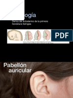 Pabellón Auricular: CAE