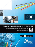 Working Near Underground Services PDF