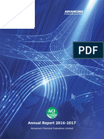 Aci-Audit Report-2016-2017 PDF