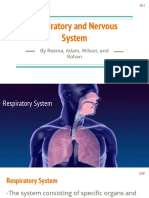 Respiratory and Nervous System Presentation