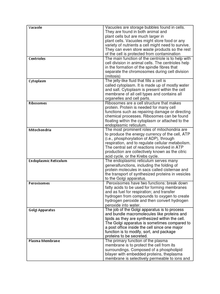 vacuole | Cell (Biology) | Cell Membrane