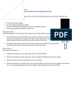 Skeleton Functions Types Bones Structure Connections