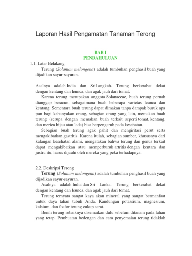 Laporan Hasil Pengamatan Tanaman Terong PDF