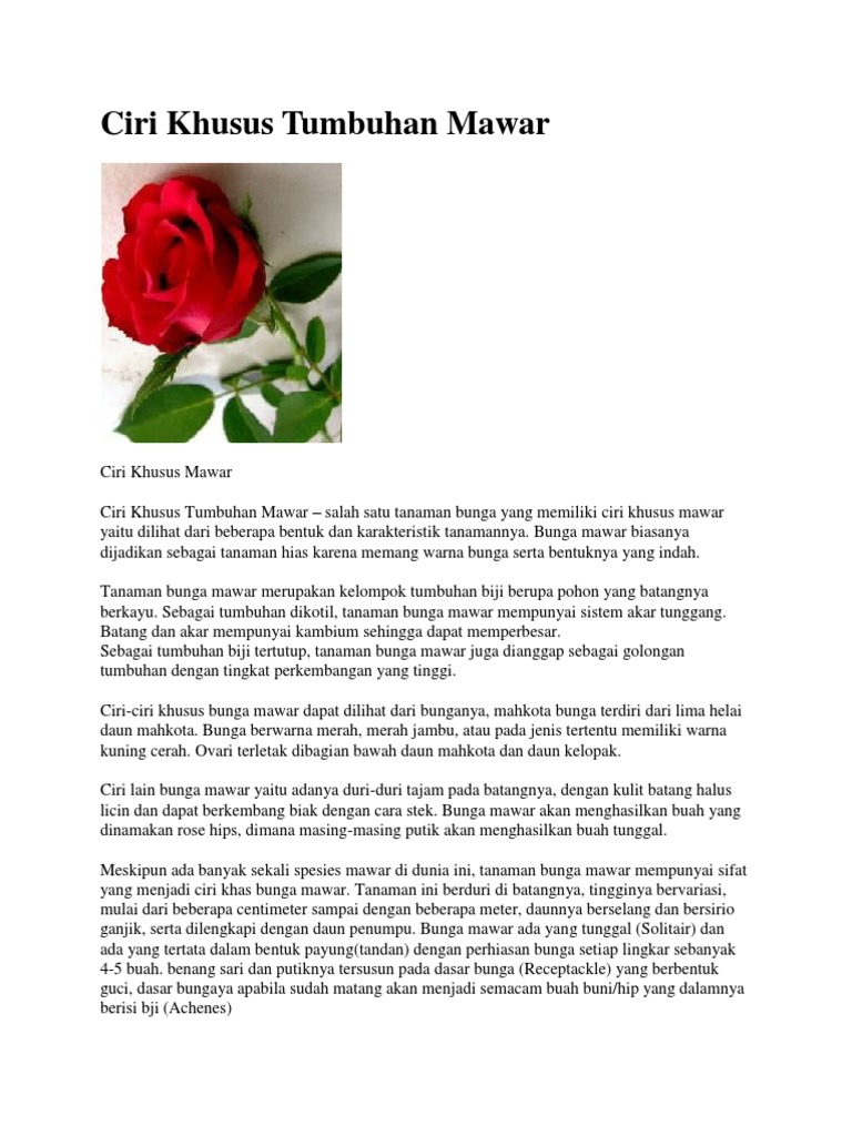 Ciri Khusus Tumbuhan Mawar Pdf