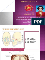 Rhino Sinusitis