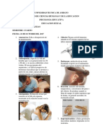 Vocabulario de Educacion Sexual