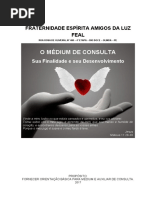 Orientação Médium de Consulta - Feal