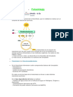 2ª evaluación