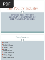 The Poultry Industry: One of The Fastest Growing Segments of The Animal Industry