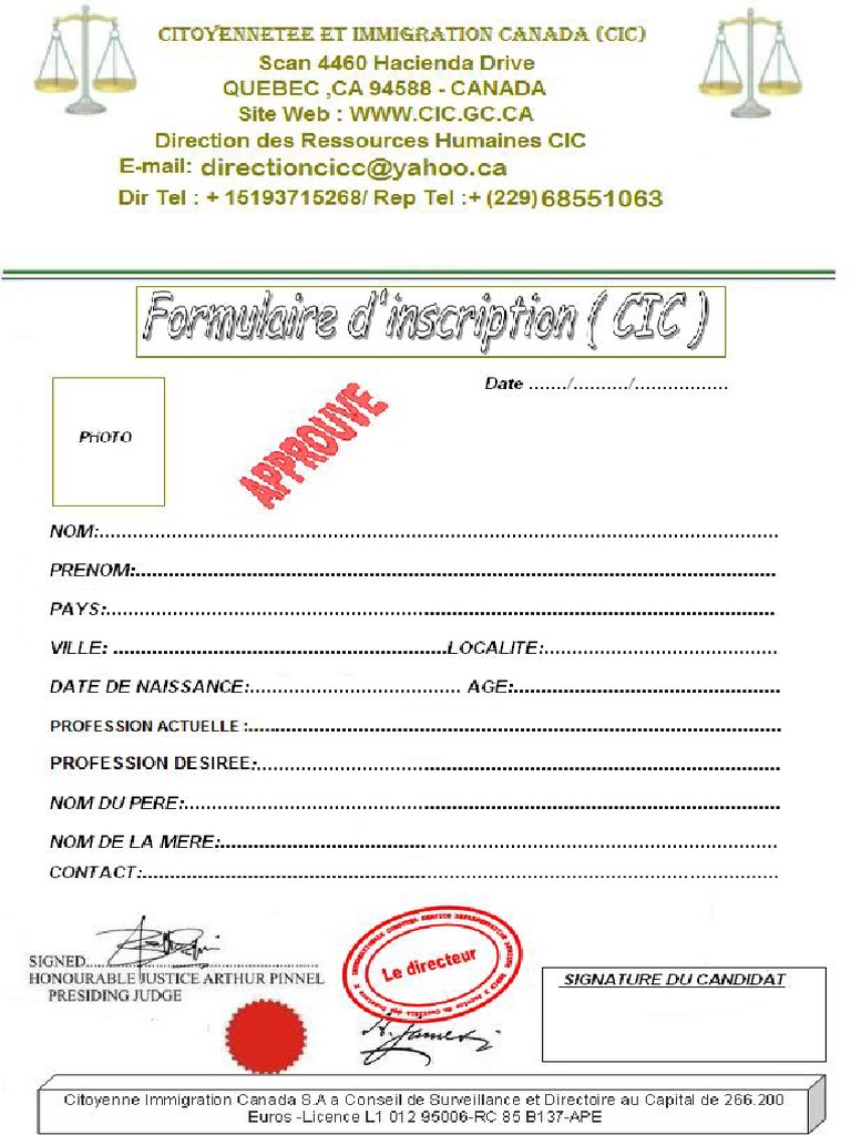 Formulaire - C.I.C - A - Remplir PDF | PDF | Informatique et ...