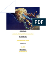 Anatomia Tarea 2