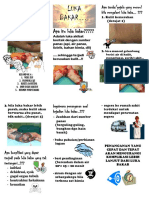 Leaflet Combustio