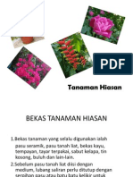 Tanaman Hiasan