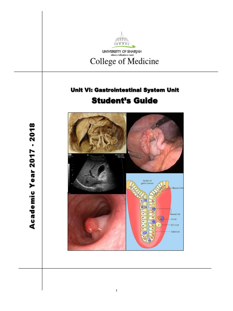 GI System Student Guide 2017 - 2018 | PDF | Medical Ethics | Medicine