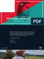 Manual de correcion de color.pdf
