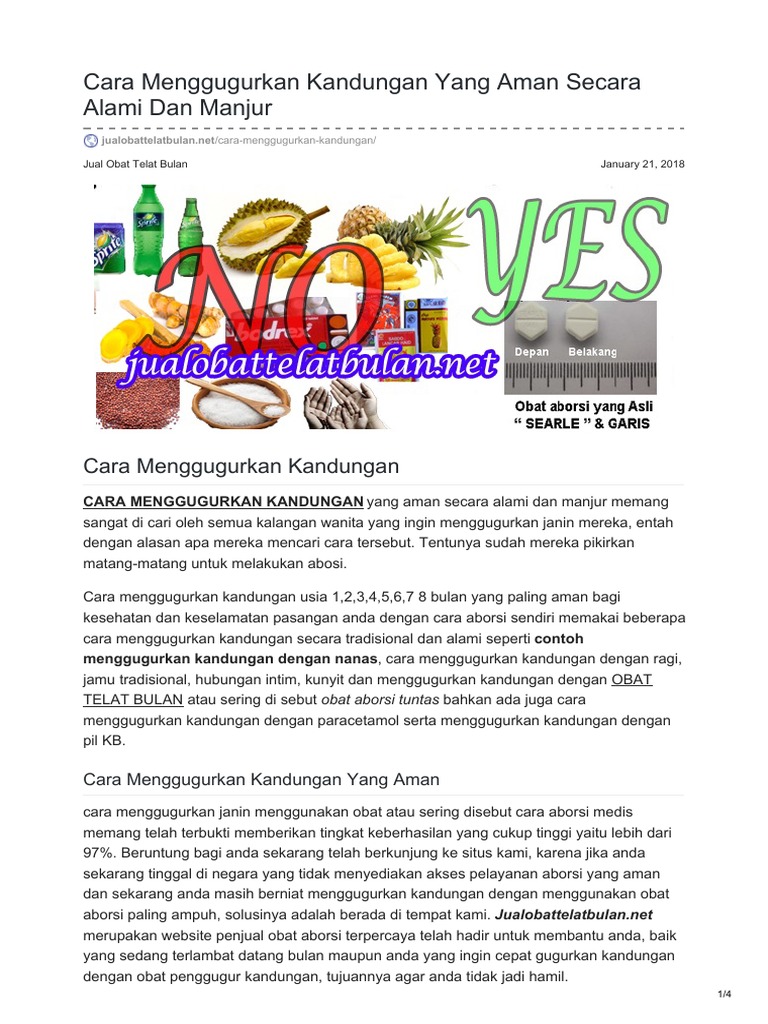 Cara Menggugurkan Kandungan Yang Aman Secara Alami Dan Manjur Pdf