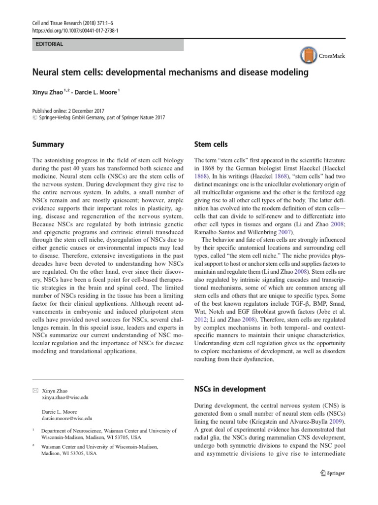 Neural Stem Cells: Development & Disease | PDF | Stem Cell | Cellular ...