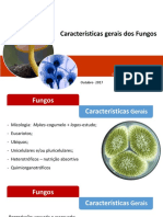 Características Gerais Dos Fungos