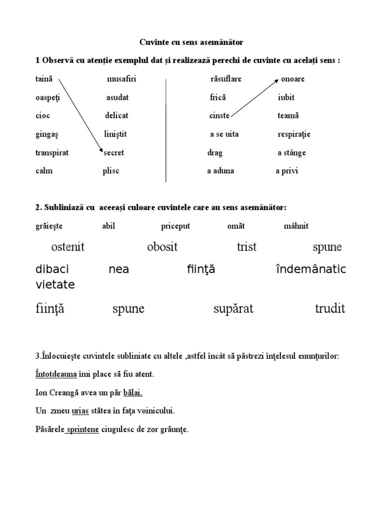 Cuvinte Cu Sens Asemanator