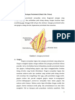 Anatomi Jaringan Periodontal
