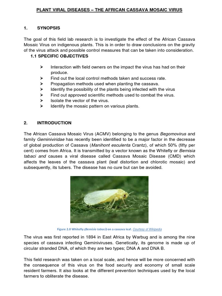 Plant Viral Diseases | PDF | Virus | Microbiology