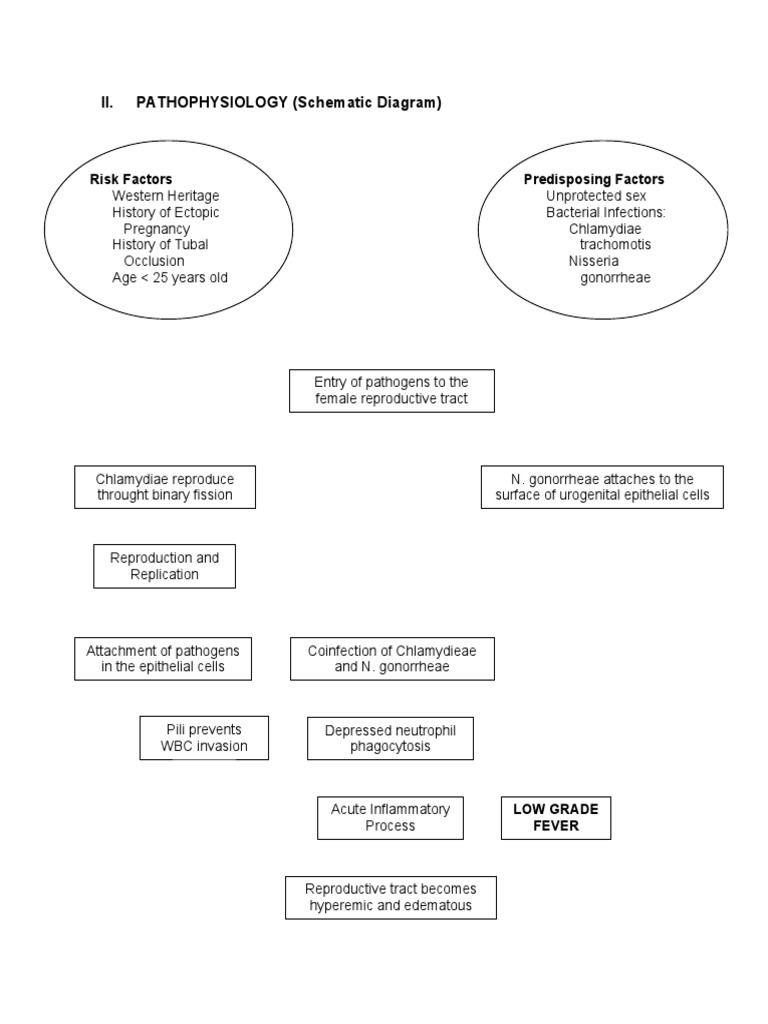 II. PATHOPHYSIOLOGY (Schematic Diagram) : Risk Factors Predisposing ...