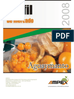 96772605-perfil-aguaymanto.pdf