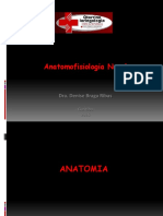 Anatomofisiologia Nasal 30 Pg
