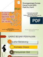 Buku Pedoman Penanggulangan Ibu Hamil Kek PDF