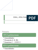 DNA y RNA Polimerasas