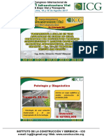 d2 - Sab - p01.2 - e - Pinchi - Tratamiento A Fallas en Vías Asfaltadas en Zonas de Selva