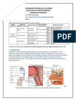 Pract #7 Inf - Respir