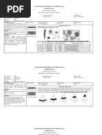 Download SOAL PERSIAPAN USBN BIOLOGI SMA by Faiz Pgr SN369772094 doc pdf