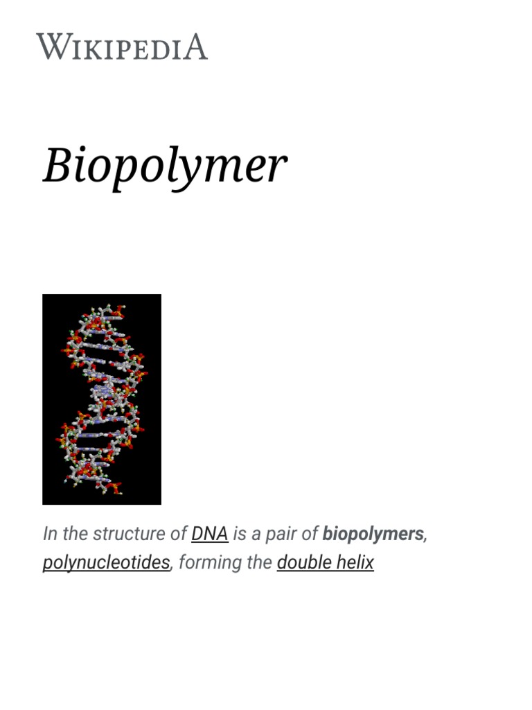 Biopolymer | Biopolymer | Molecular Biophysics