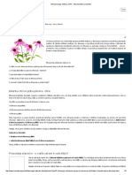 Ehinacea Kapi, Tinktura, SIPF - Kako Koristiti Za Imunitet PDF
