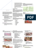 DIKUBITUS Tini 2012 PDF