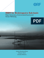 IRBM for Brahmaputra Sub-basin.pdf