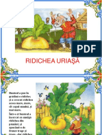 0_3_ridichea_uriasa.ppt